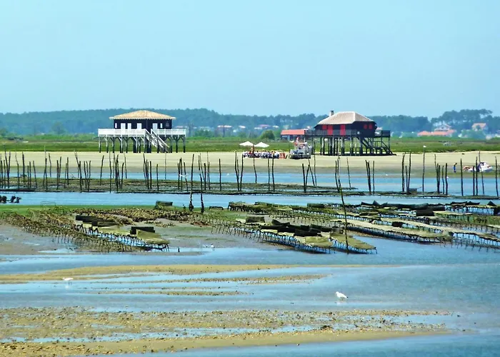 Claire-2 By Interhome * Аркашон